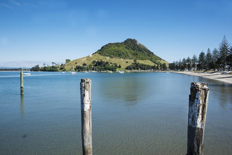 Team Building Tauranga Team Up Events